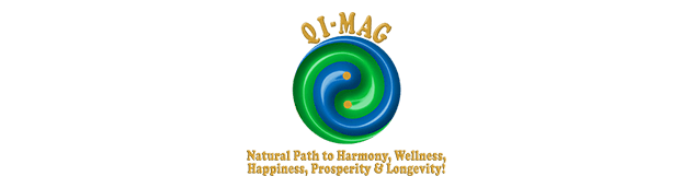 designtektei-zertifikat-qmag